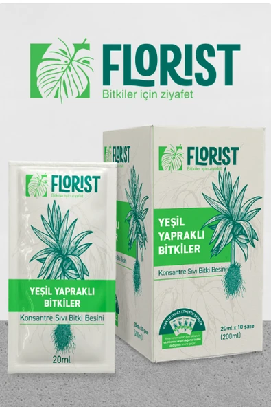 Florist yeşil bitkiler besini ürün görseli