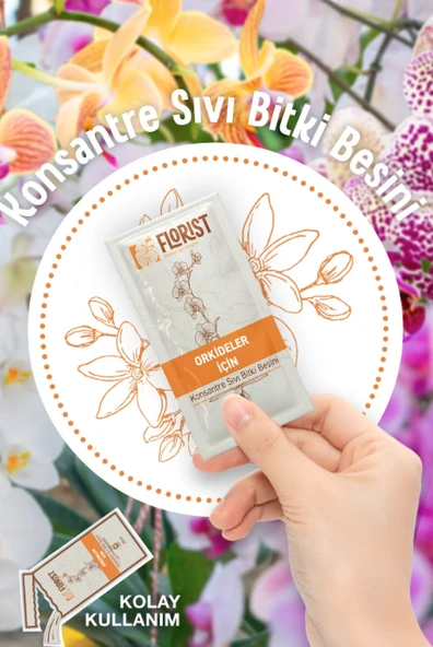 Florist orkide besini - Resim 3