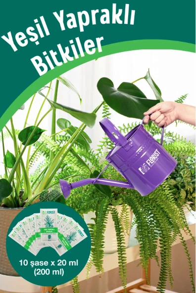 Florist yeşil bitkiler besini - Resim 3