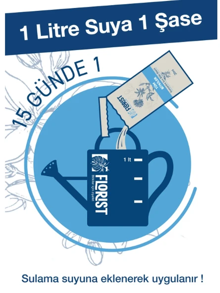 Florist tüm bitkiler besini - Resim 3