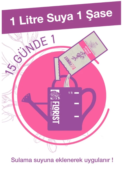 Florist çiçekli bitkiler besini - Resim 2