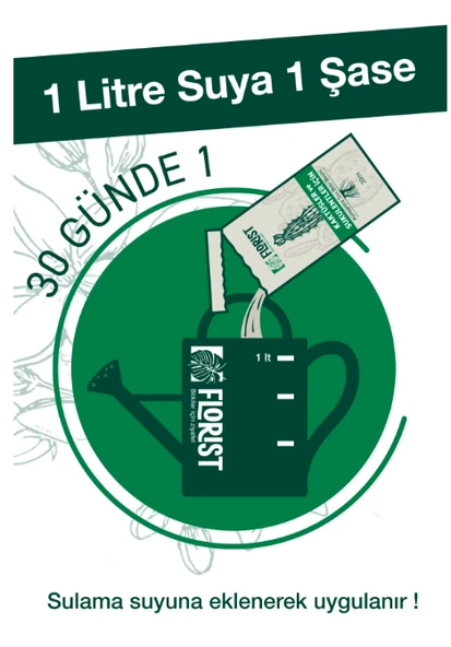 Florist kaktüs ve sukulentler besini - Resim 3