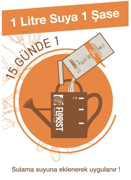 Florist orkide besini - Resim 2