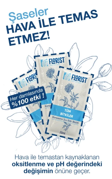 Florist tüm bitkiler besini - Resim 2