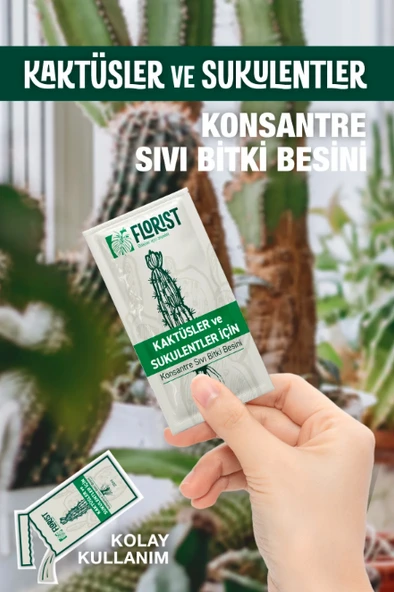 Florist kaktüs ve sukulentler besini - Resim 2