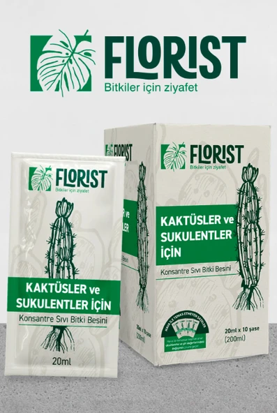 Florist kaktüs ve sukulentler besini ürün görseli