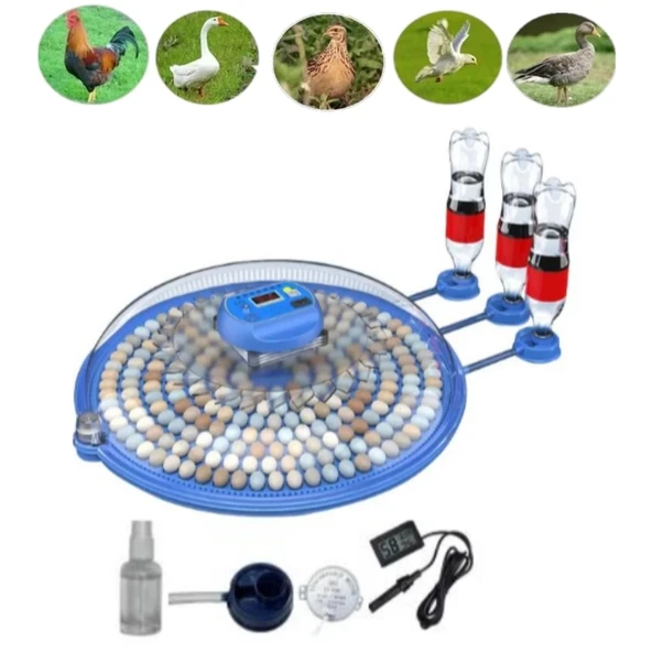 80/240 Kapasiteli Çift Viyollü Kuluçka Makinesi Kaz Ördek Tuk Bıldırcın Kuşlar İçin - 2