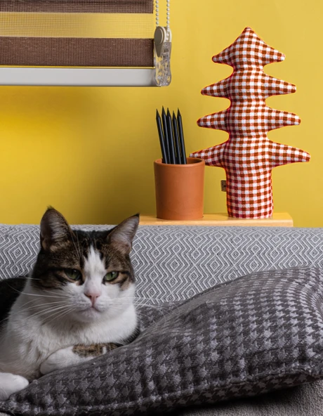 Kayigo Lavender Kalemlik & Notluk - Kırmızı Pötikareli Çam - Resim 3