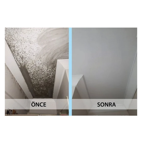 ISONEM MS82 Rutubetli Yüzey ve Nem Boyası 1 Kg - Resim 2