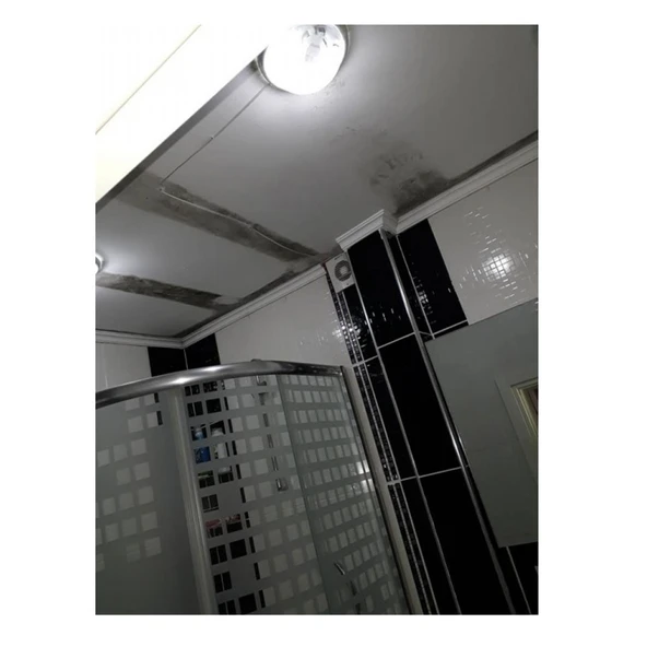 ISONEM MS82 Rutubet ve Nem Boyası 5 Kg - Resim 10