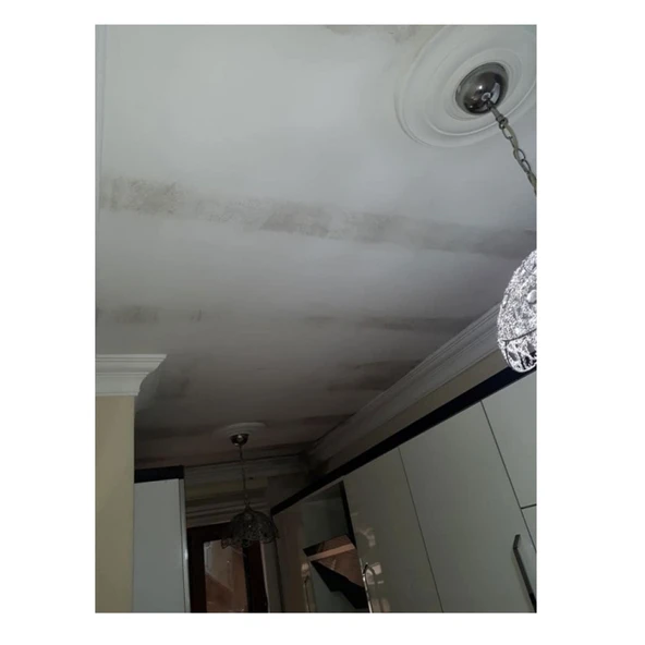 ISONEM MS82 Rutubetli Yüzey ve Nem Boyası 1 Kg - Resim 8