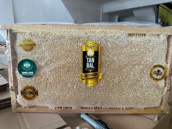 Organik Yayla Çiçek Balı 2800 Gr Sarı renk çerçeve bal - 3