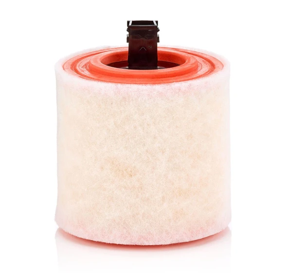 Mann Filter C16012 Hava Filtresi - Resim 2