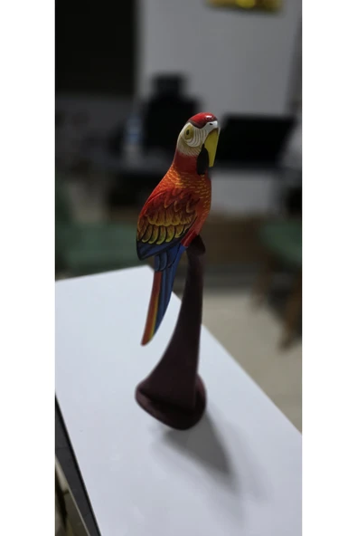 FREFLY Store den çok Canlı renkli 40 cm boy Papağan - 8