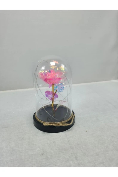 mykhediyevesanatatölyesi Sevgiliye Işıklı Fanus Sevgili - Resim 4