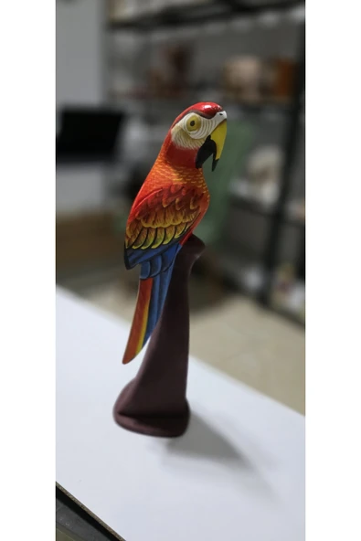 FREFLY Store den çok Canlı renkli 40 cm boy Papağan - 7