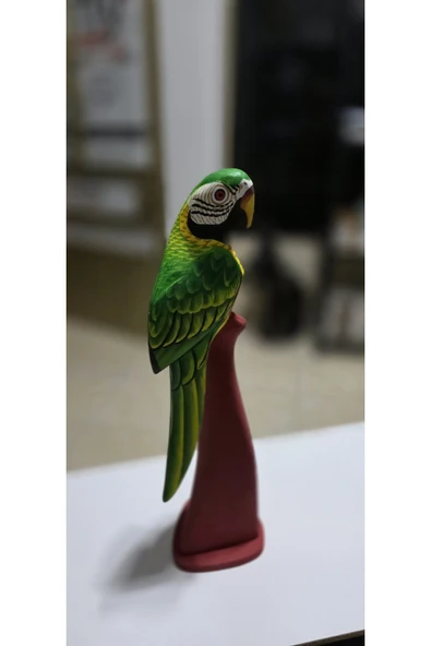 FREFLY Store den çok Canlı renkli 40 cm boy Papağan - 3