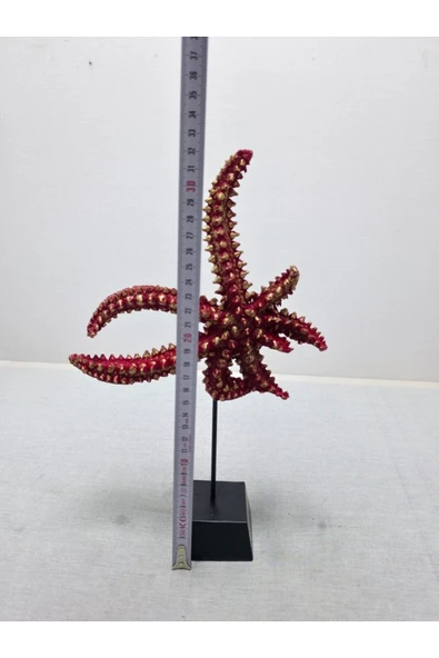 FREFLY STORE Deniz Yıldızı Biblo, Polyester, Turuncu, 40x20 - Resim 6