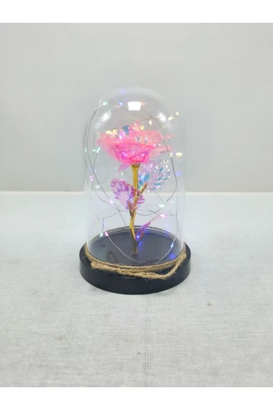 mykhediyevesanatatölyesi Sevgiliye Işıklı Fanus Sevgili ürün görseli 1