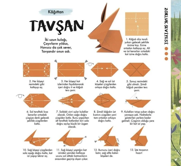 DOĞAYI KEŞFEDİYORUM SETİ - Resim 4