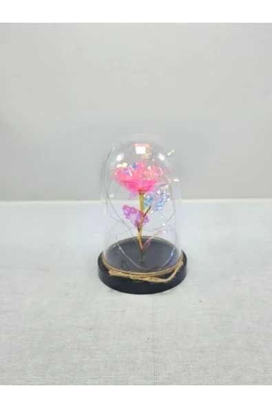 mykhediyevesanatatölyesi Sevgiliye Işıklı Fanus Sevgili - Resim 3