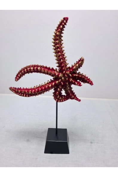 FREFLY STORE Deniz Yıldızı Biblo, Polyester, Turuncu, 40x20 - Resim 4