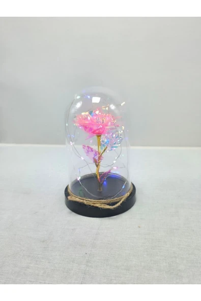 mykhediyevesanatatölyesi Sevgiliye Işıklı Fanus Sevgili - Resim 2