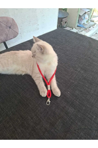 TÜM KILIFLARLA UYUMLU KIRMIZI TELEFON EL ASKISI ürün görseli