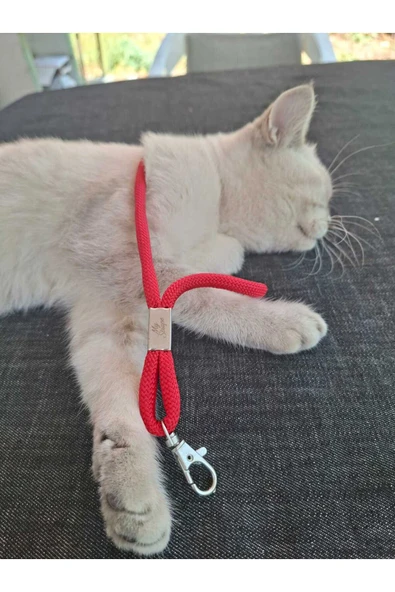 TÜM KILIFLARLA UYUMLU KIRMIZI TELEFON EL ASKISI - Resim 2