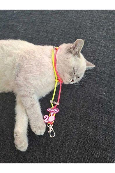 TÜM KILIFLARA UYUMLU NEON VE İKİ RENKLİ BARBİE Lİ EL BİLEKLİK ASKISI ürün görseli