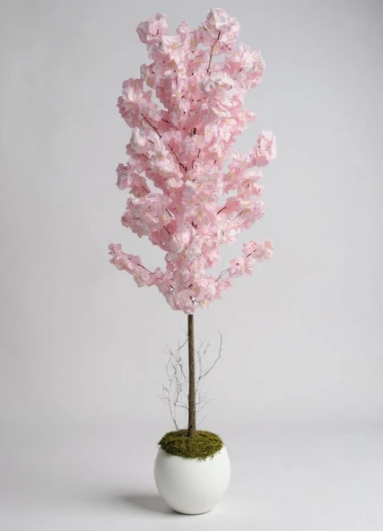 Yapay Ağaç Japon Kiraz Çiçeği Bahardalı Ağacı Beyaz Küre Saksıda Pembe Koyu Renkli 160cm ürün görseli 1
