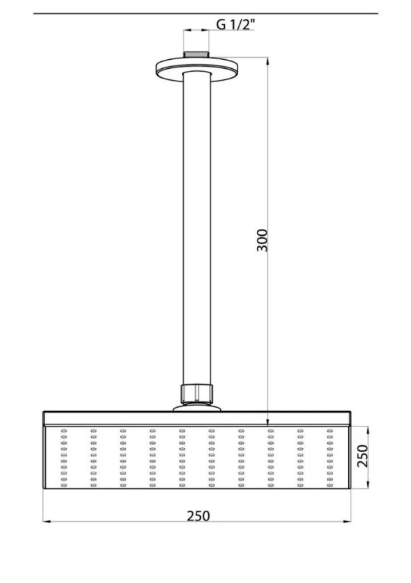 GPD Ankastre Duş Başlığı (Tavandan) (250X250) ADS15 - 2