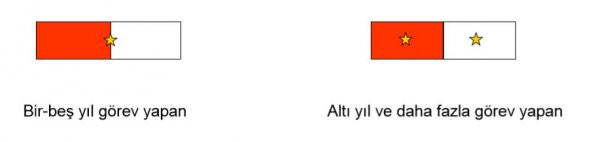 Terörle Mücadele (İç Güvenlik) Şerit Rozeti - 2