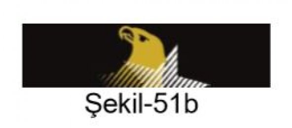 SOLOTÜRK Şerit Rozeti ürün görseli