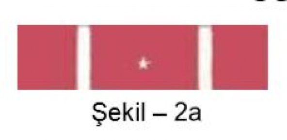 Üstün Birlik Yetiştirme Şerit Rozeti