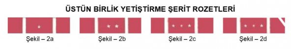 Üstün Birlik Yetiştirme Şerit Rozeti - 2