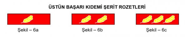 Üstün Başarı Kıdemi (Erken Terfi) Şerit Rozeti - Resim 2