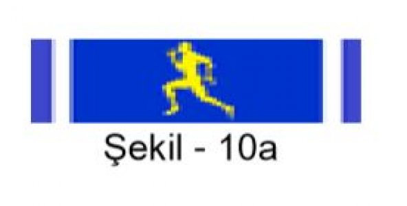 Spor Başarı Şerit Rozeti - 1