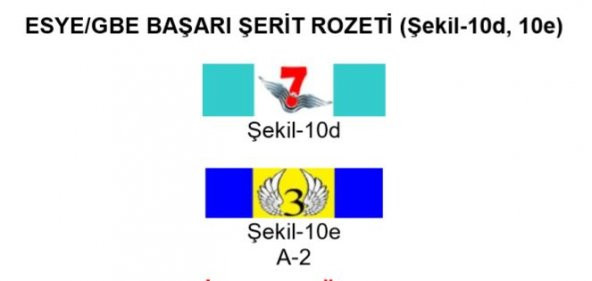ESYE-GBE Başarı Şerit Rozeti - 2
