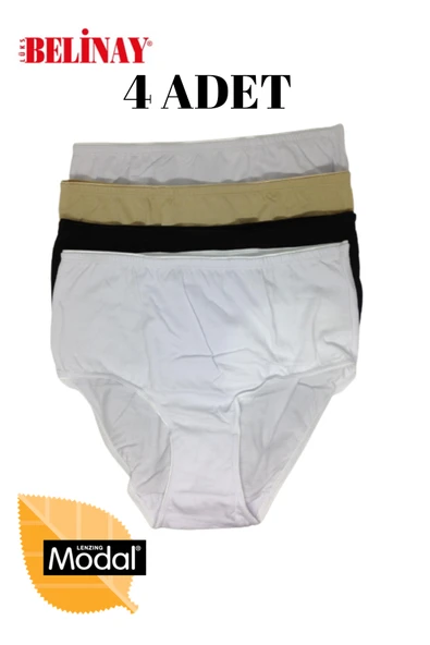 Belinay 4 Lü Paket Modal Yüksek Bel Bayan Külot 069 - 2