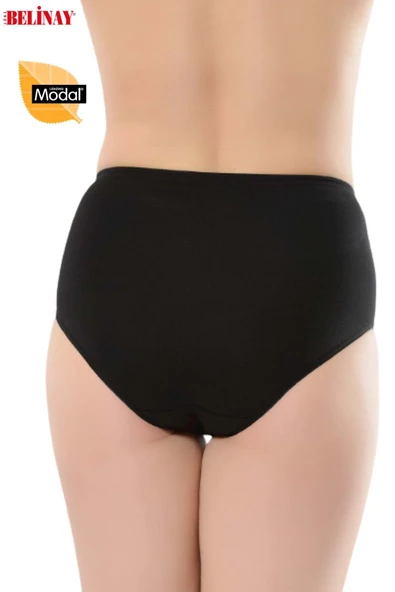 Belinay Modal Yüksek Bel Bayan Koton Külot 069 - 3