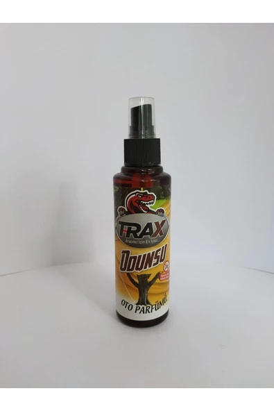 T-rax Odunsu Kokulu Ferah Oto Ev Oda Sprey Parfüm 170 Ml Odunsu Koku - 2