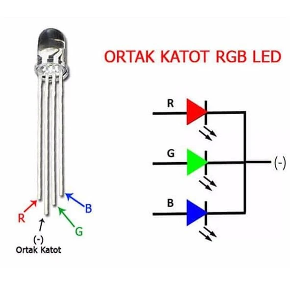 Powermaster 1592-5Mm RGB Led 4 Pin Ortak Katot - Resim 3