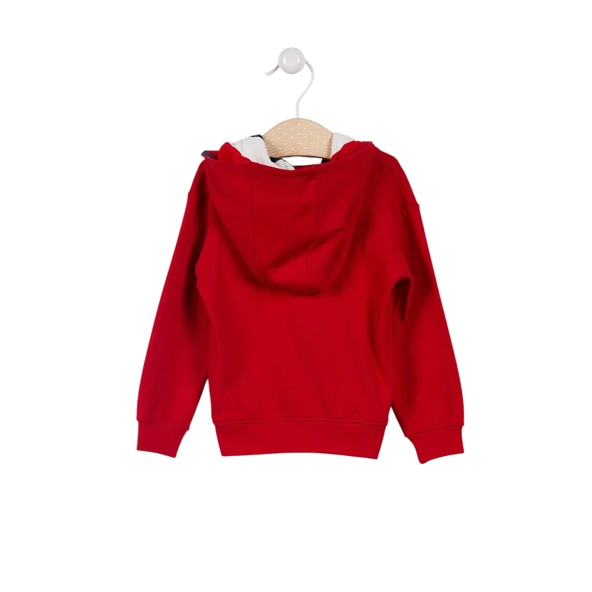 Lisanslı Striped Erkek Bebek Kapüşonlu Hırka - 4