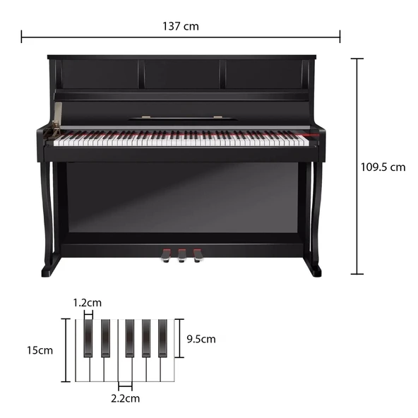 Jwin Sapphire SDP-650 Çekiç Aksiyonlu 88 Tuşlu Dijital Piyano - Siyah - 5