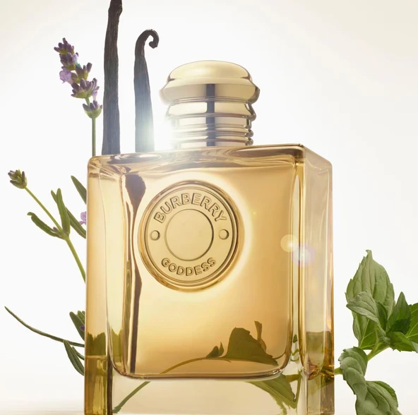 Burberry Goddess Edp Intense 50 Ml Kadın Parfüm - Resim 3