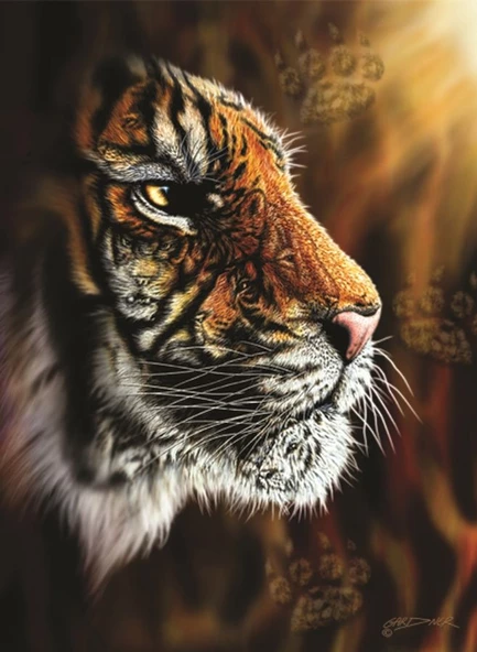 Anatolian Vahşi Kaplan/ Wild Tiger 1000 Parça Puzzle