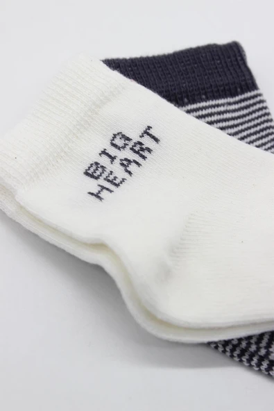 Bistyle 2'Li Big Heart Penye Soket Çorap 10117 Antrasit - 4