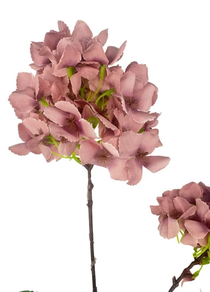 Yapay Çiçek Ortanca 90cm 2Toplu Gülkurusu Koyu Tek Dal Kumaş Çiçek Uzun Dal - Resim 3