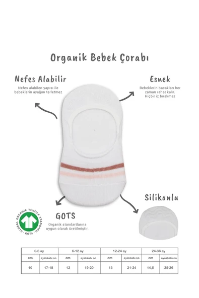 Bistyle 2'Li Penye Babet Silikon Çemberli Çorap 30102 Pudra Beyaz - Resim 2